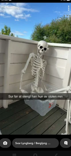 Aidonnäköinen luuranko