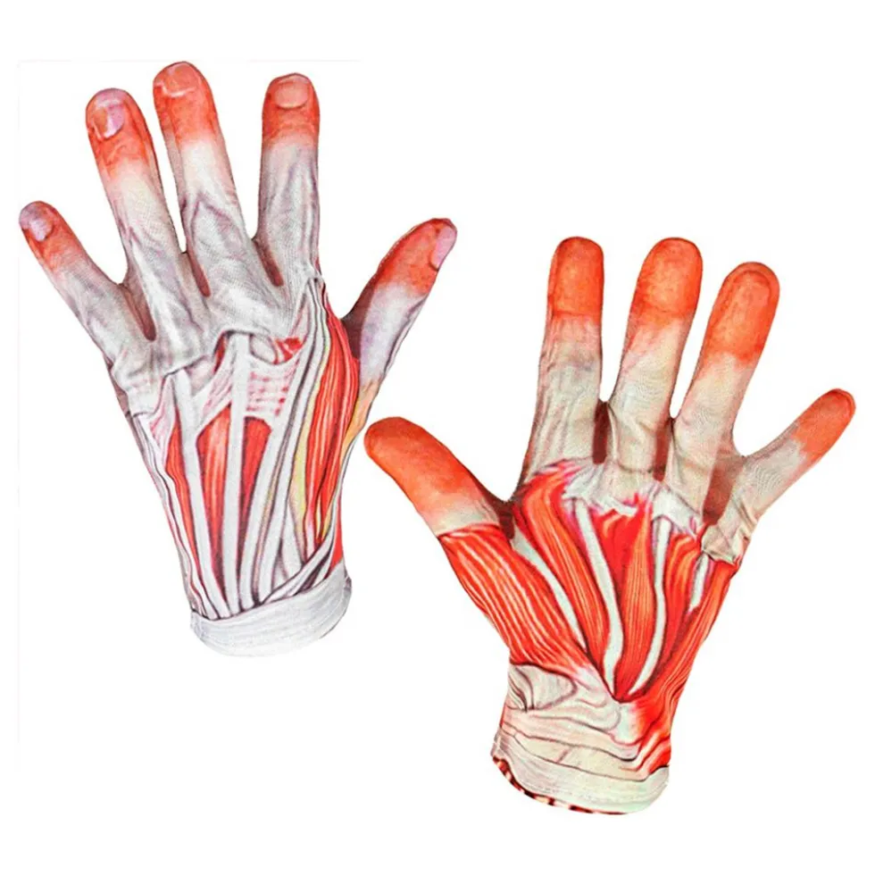 Anatomian Naamiaisasu