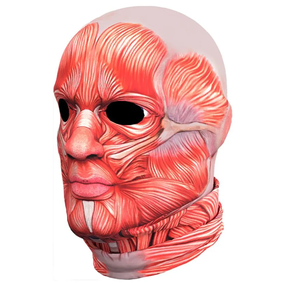 Anatomian Naamiaisasu
