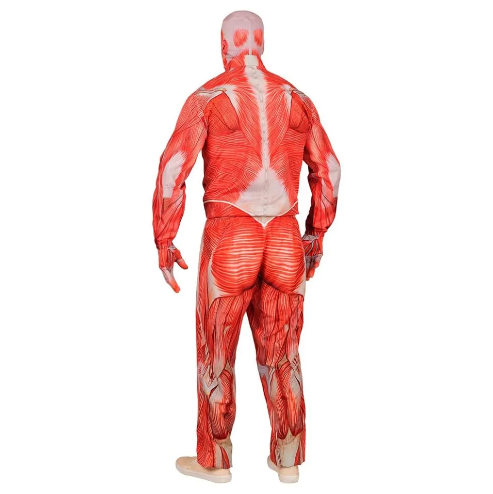 Anatomian Naamiaisasu