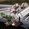 Autokoriste Häät Ruusukulta