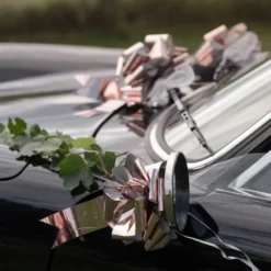 Autokoriste Häät Ruusukulta