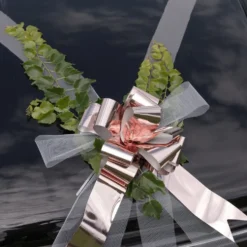 Autokoriste Häät Ruusukulta
