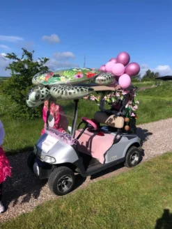 Autokoriste Pakkaus Pinkki