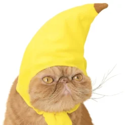 Banaanihattu Kissalle