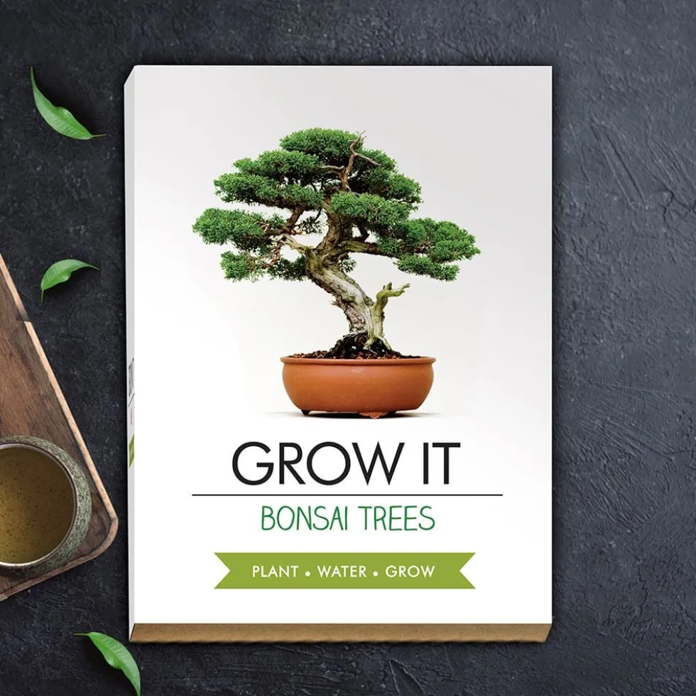 Bonsai-puun Viljelysarja