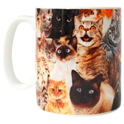 Crazy Cat Lady Muki