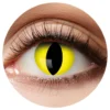 Crazylinssit Cateyes