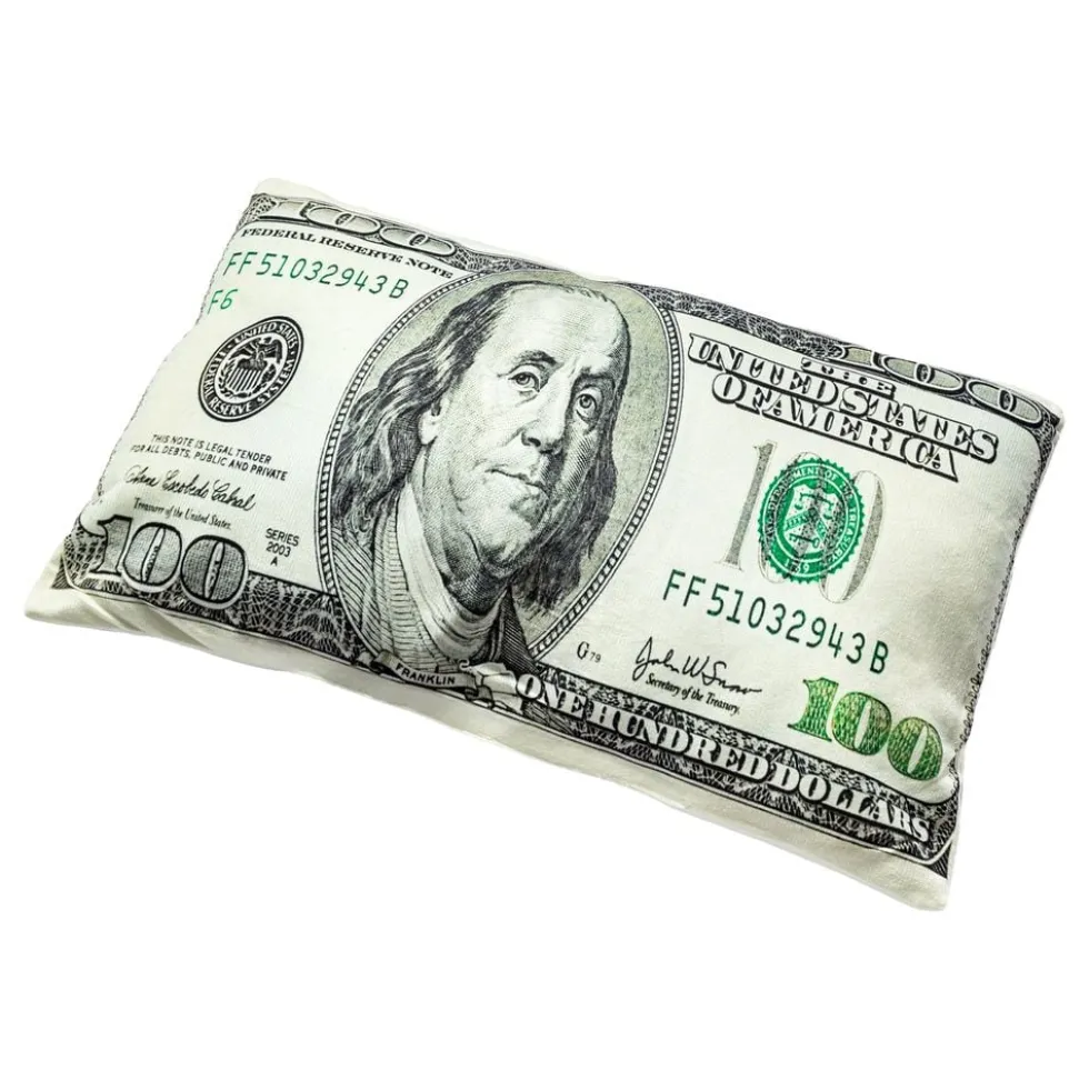 Dollarisetelikuvioinen Tyyny