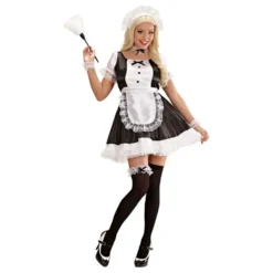 French Maid Naamiaisasu