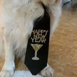 Glitterinen Happy New Year -solmio