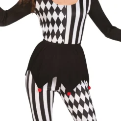 Harlequin Narri Naamiaisasu