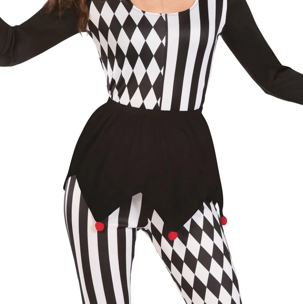 Harlequin Narri Naamiaisasu