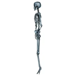 Hopea Skeletti Koriste