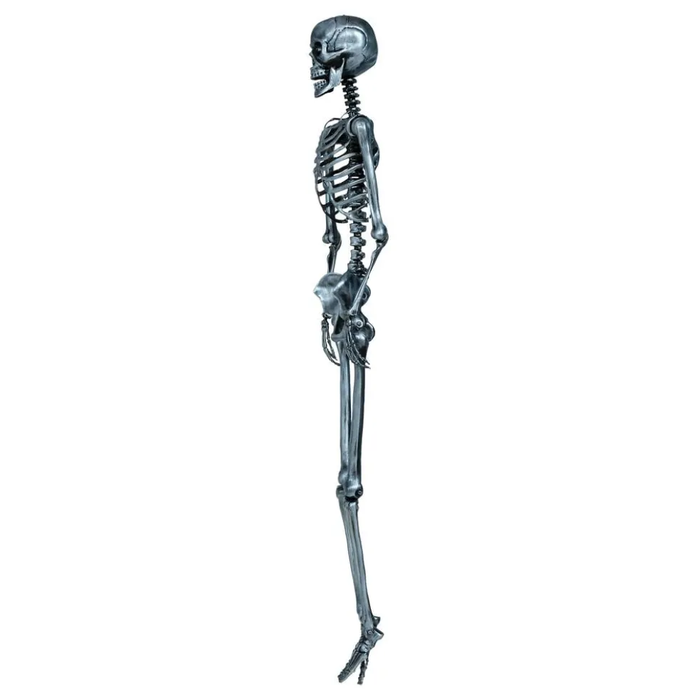 Hopea Skeletti Koriste