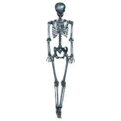 Hopea Skeletti Koriste