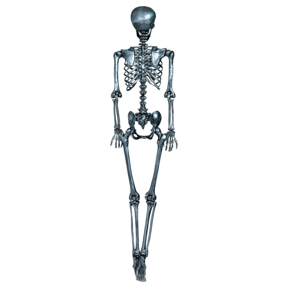 Hopea Skeletti Koriste