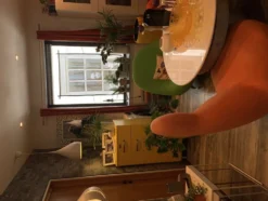 Ikkunakoriste Nainen