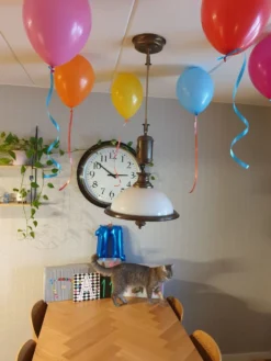 Ilmapallot Moniväriset