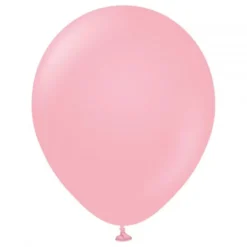Ilmapallot Professional Flamingo Pink