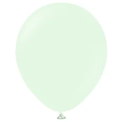 Ilmapallot Professional Pale Green