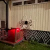 Jättihämähäkki