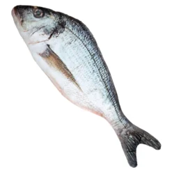Kangaskala
