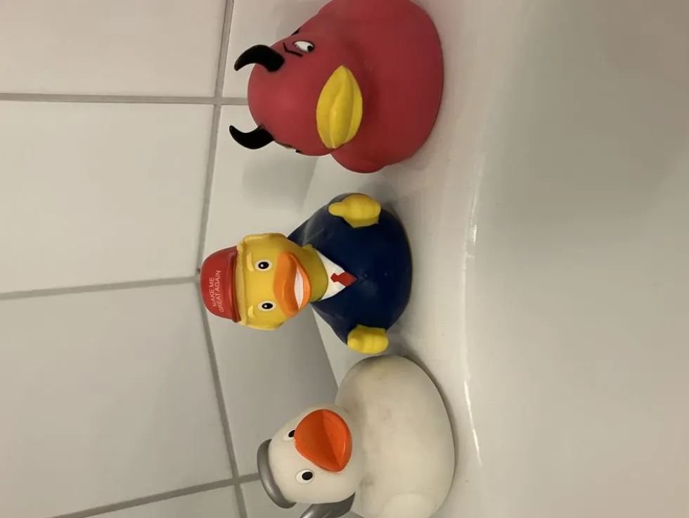 Kylpyankka Amerikan Presidentti