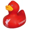 Kylpyankka Liverpool