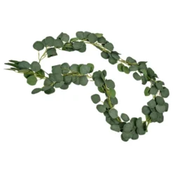 Köynnös Eukalyptus