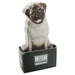 Mustard Dog In A Box Sticky Notes -muistilaput