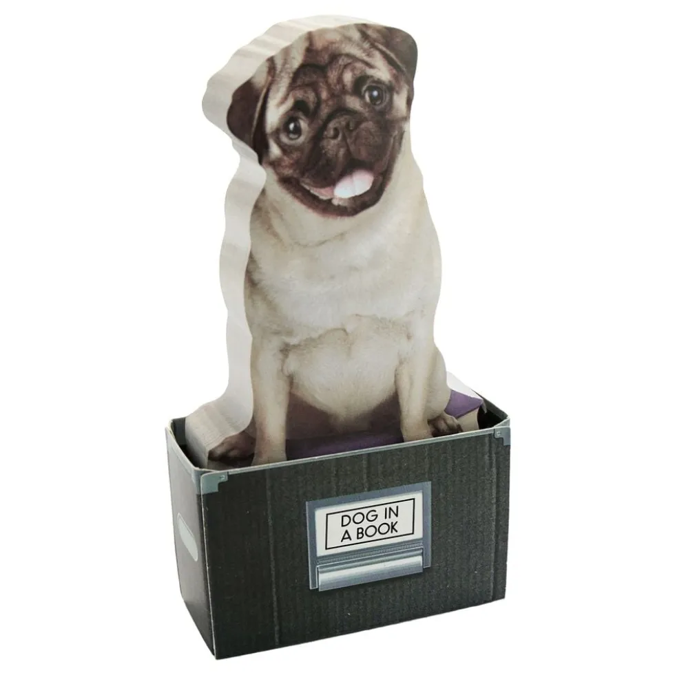 Mustard Dog In A Box Sticky Notes -muistilaput