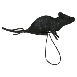 Olkahihnallinen rotta