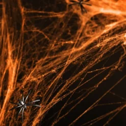 Oranssi Hämähäkinverkko