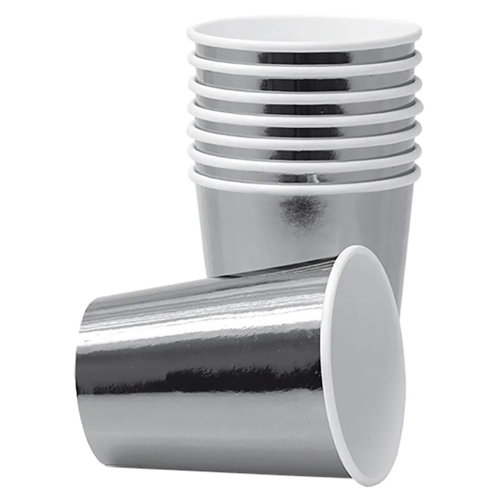 Pahvimukit Hopea Metallic