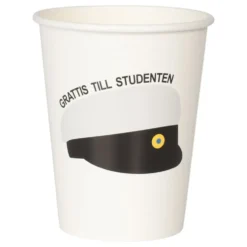 Pahvimukit Studenttilakki