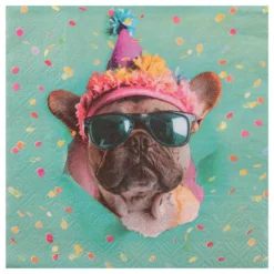 Partykoira Lautasliinat
