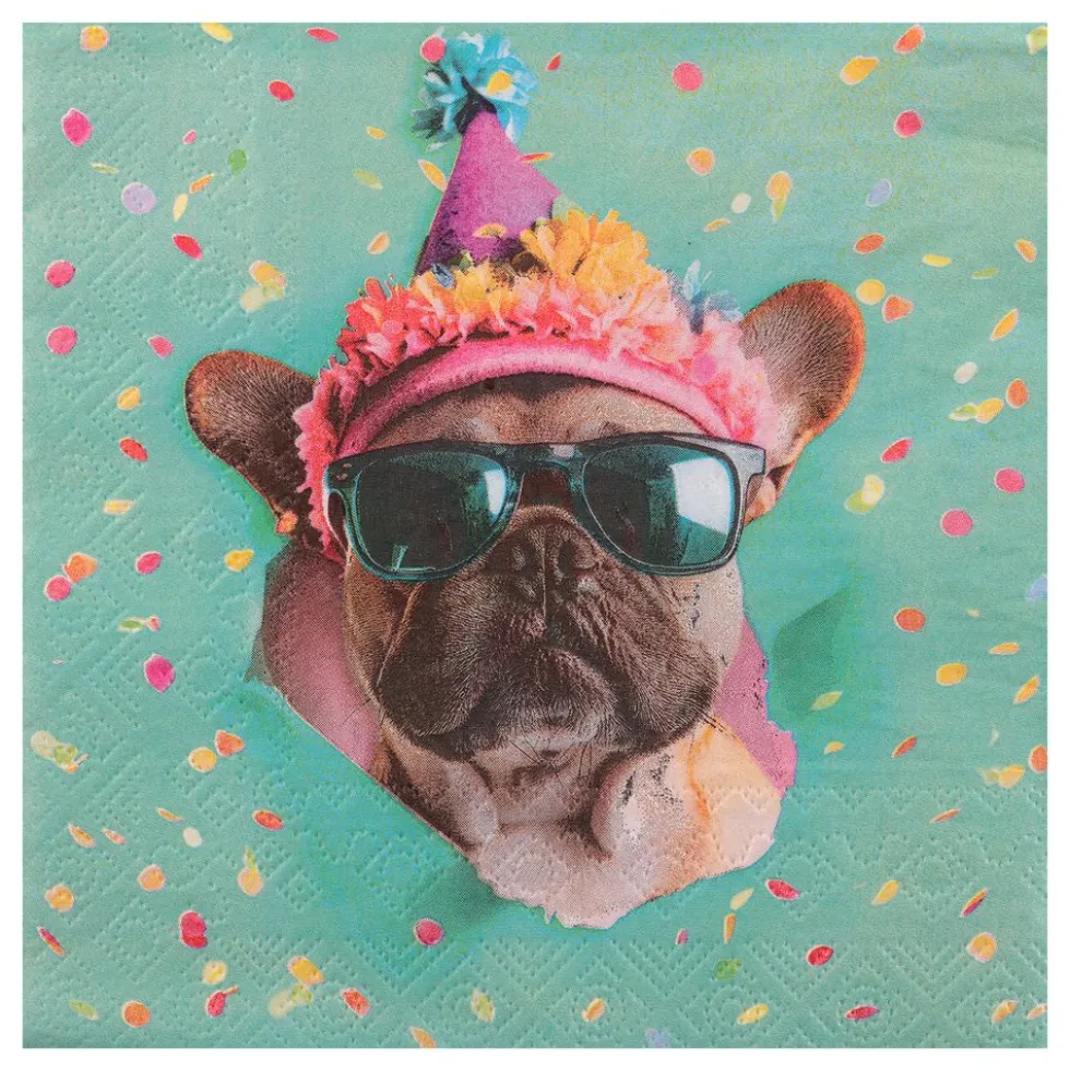 Partykoira Lautasliinat