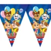 Paw Patrol™ -viirinauha Party