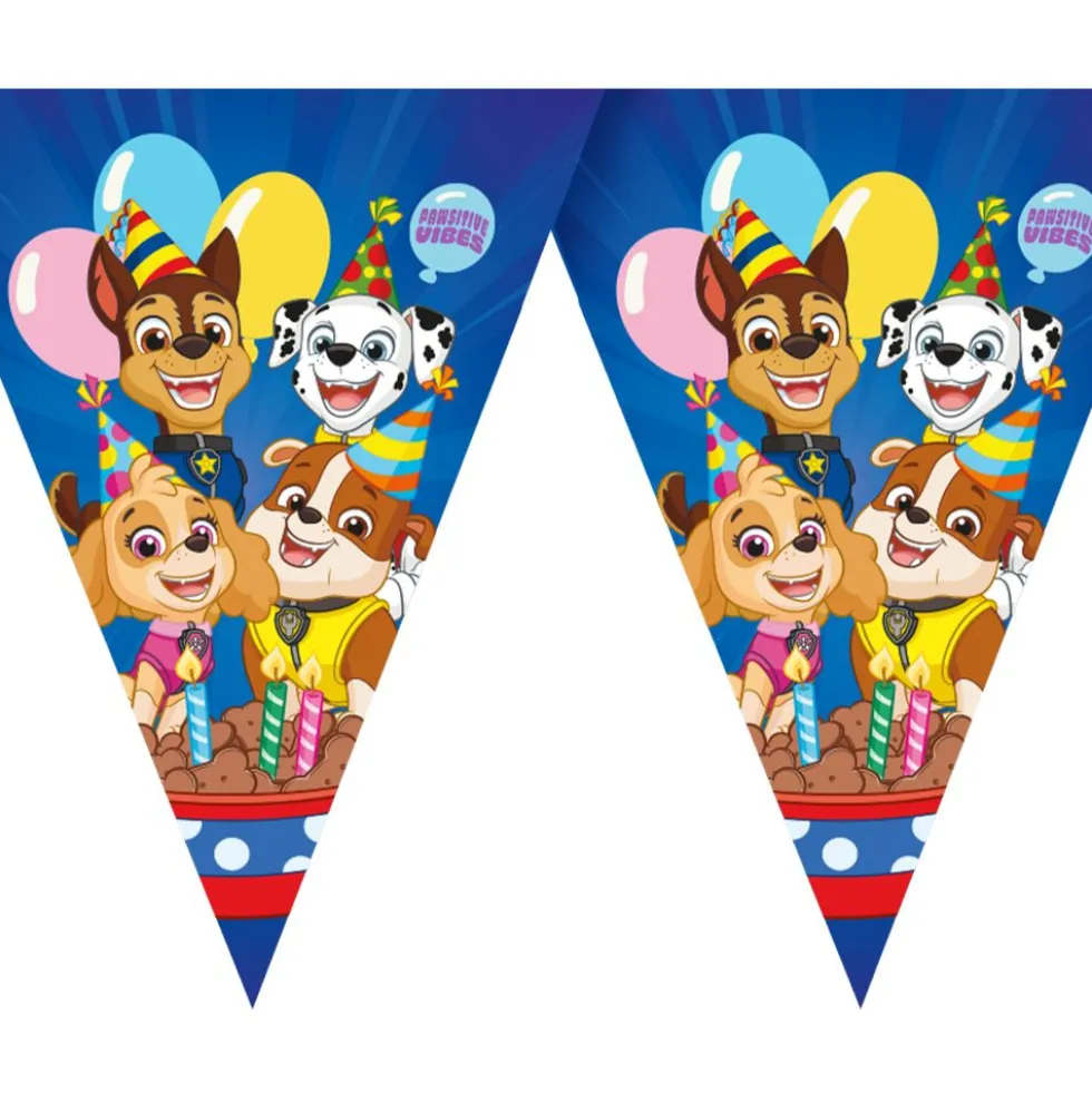 Paw Patrol™ -viirinauha Party
