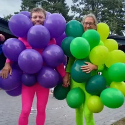 Professional Violet Ilmapallot