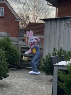 Pääsiäispupu Naamiaisasu