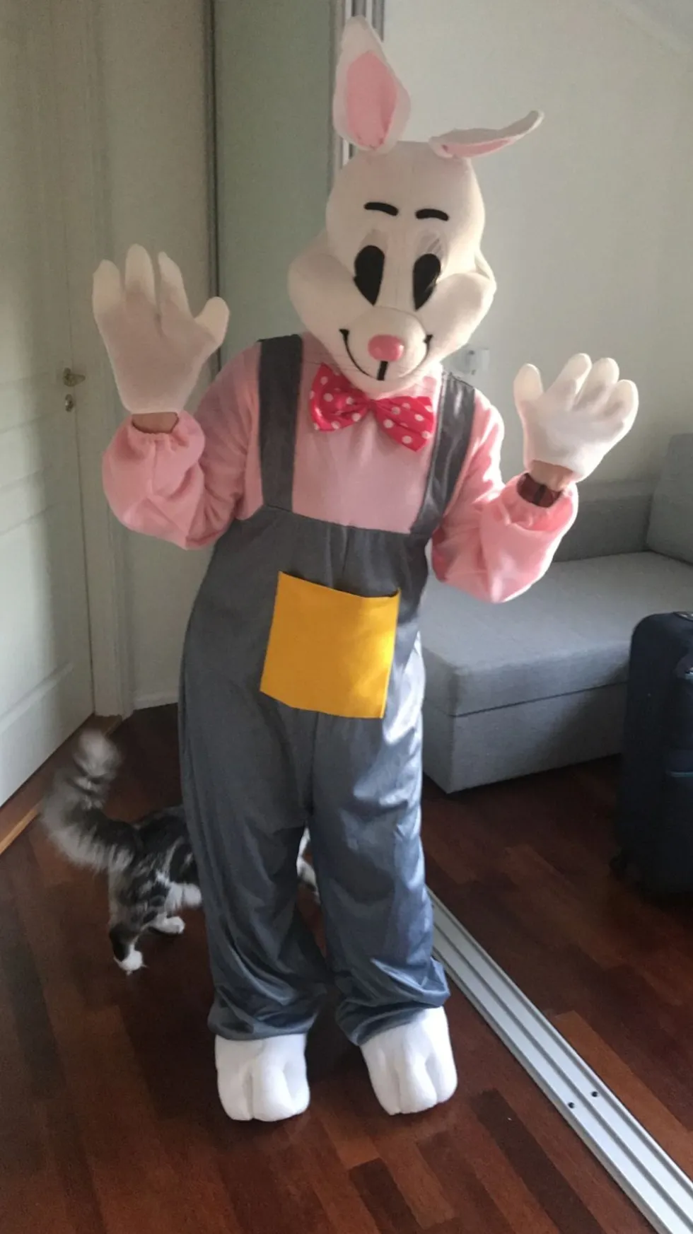 Pääsiäispupu Naamiaisasu