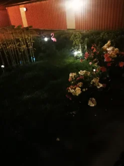 Puutarhakepit Flamingo