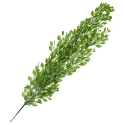 Riippuvat Lehdet Vihreät