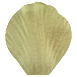 Ruusun Terälehdet Olive
