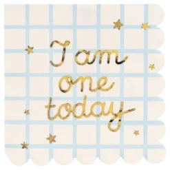 Servetit I Am One Today