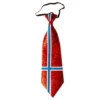 Solmio Norjan Lippu