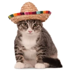 Sombrero Kotieläimille