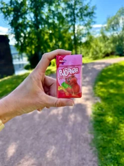 Söta Björnar Pastillirasia Suurpakkaus
